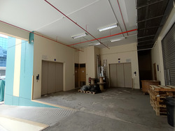 Chevalier House (D13), Factory #520587911